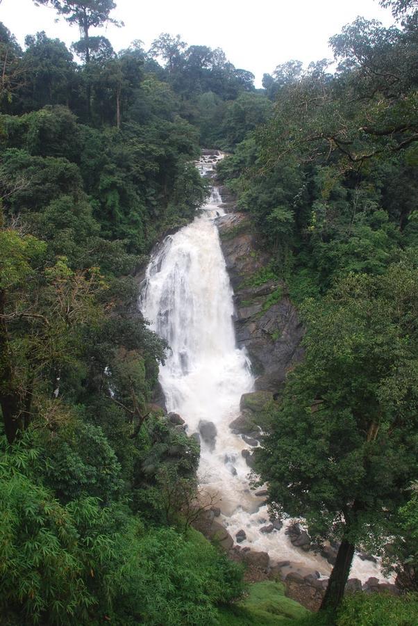 Wild Elephant Eco Friendly Resort Munnar Dış mekan fotoğraf