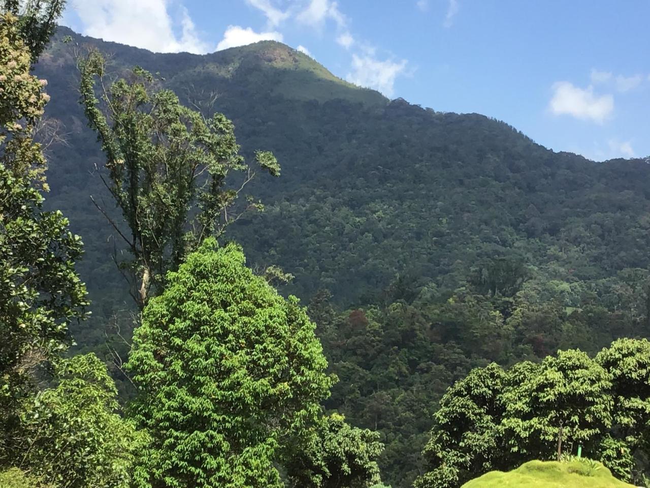 Wild Elephant Eco Friendly Resort Munnar Dış mekan fotoğraf