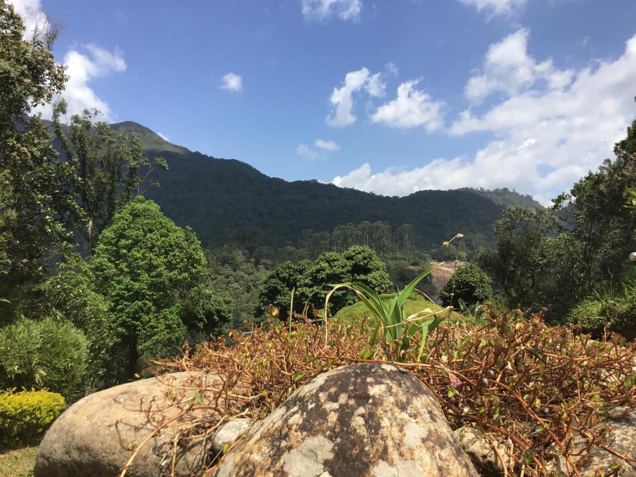 Wild Elephant Eco Friendly Resort Munnar Dış mekan fotoğraf