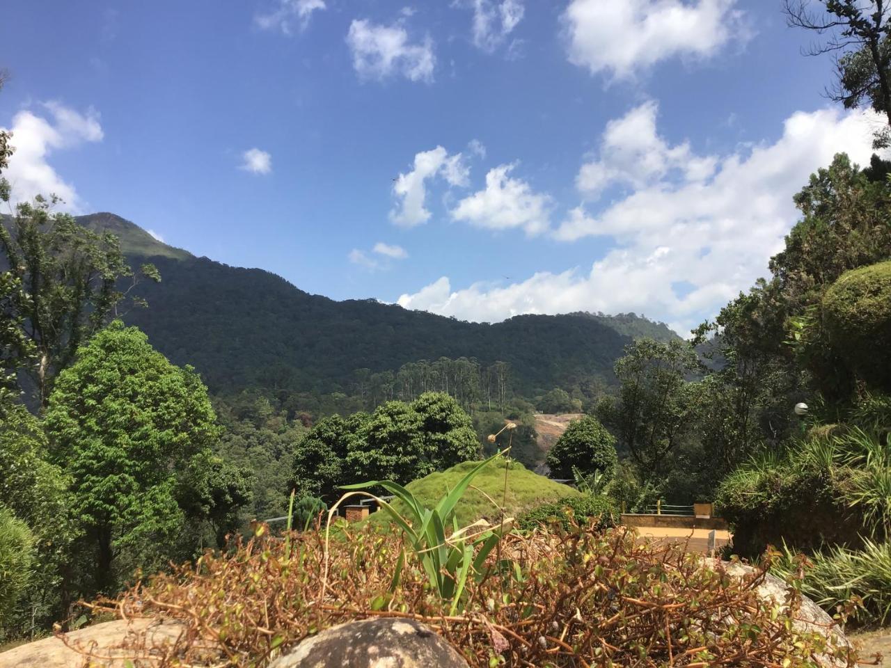 Wild Elephant Eco Friendly Resort Munnar Dış mekan fotoğraf
