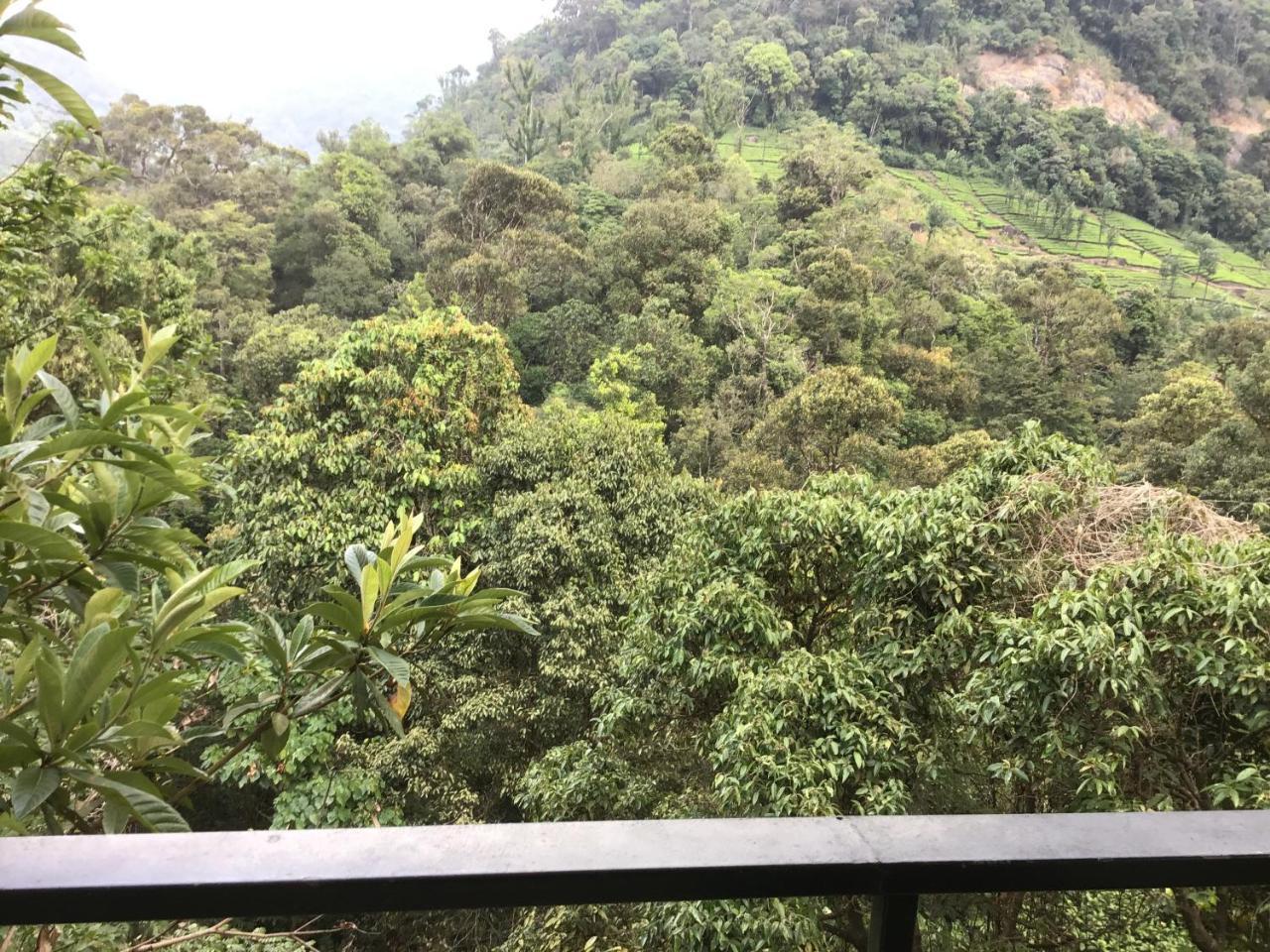 Wild Elephant Eco Friendly Resort Munnar Dış mekan fotoğraf