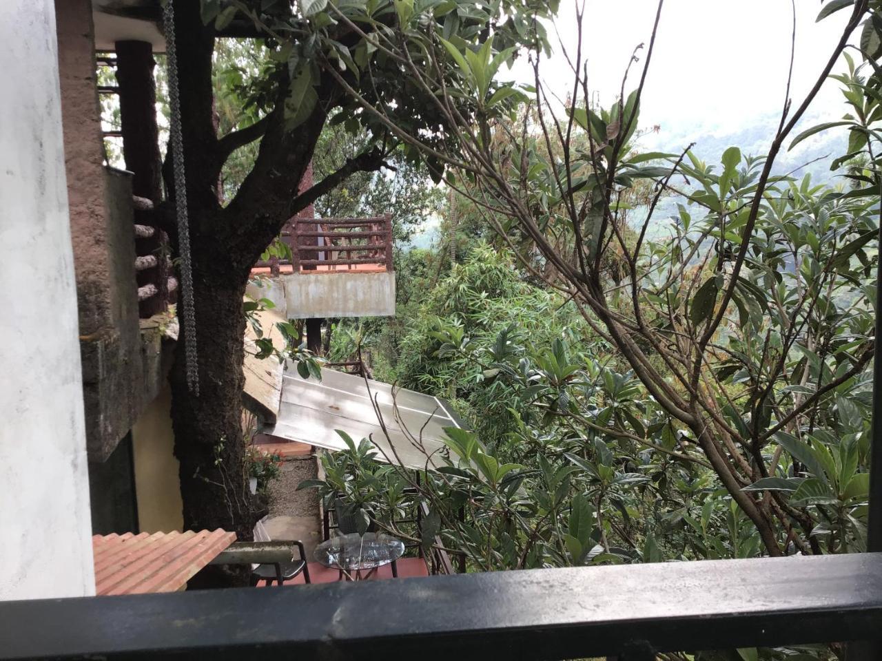 Wild Elephant Eco Friendly Resort Munnar Dış mekan fotoğraf